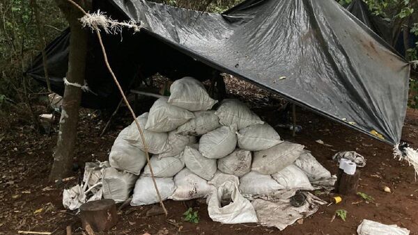 Amambay: Eliminan más campamentos y toneladas de marihuana