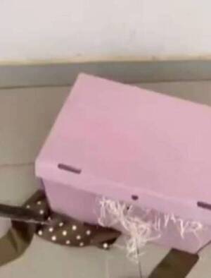 Crónica / ¿Fue una amenaza? le "regalaron" por el día de la primavera ¡una cabeza de chancho!