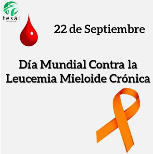 Fundación Tesãi recuerda el Día Mundial de la Leucemia Mieloide Crónica | DIARIO PRIMERA PLANA