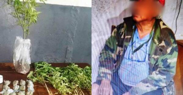Crónica / Tiene 75 años: en Luque atrapan al “abuelo marihuana”