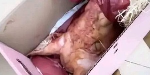 Le regalaron una cabeza de chancho y teme que sea amenaza de muerte - Noticiero Paraguay