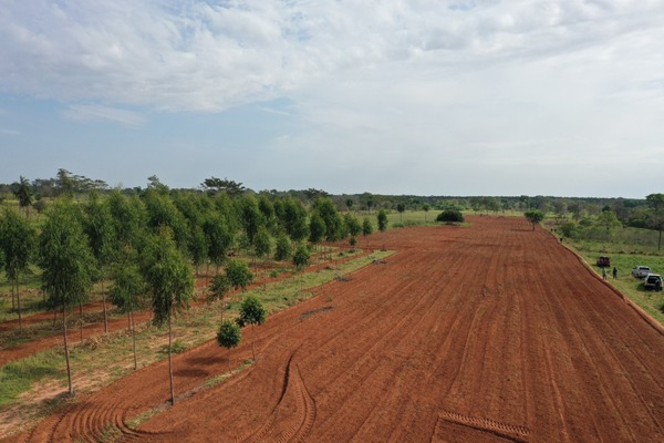 Iniciaron trabajos de mecanización de suelo para fortalecer la agricultura familiar - .::Agencia IP::.