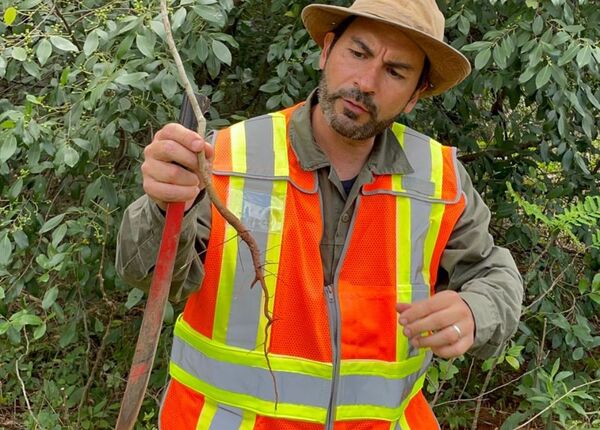 Diario HOY | Lago Ypacaraí: recomponen superficie boscosa en Areguá