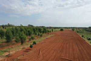 Iniciaron trabajos de mecanización de suelo para fortalecer la agricultura familiar