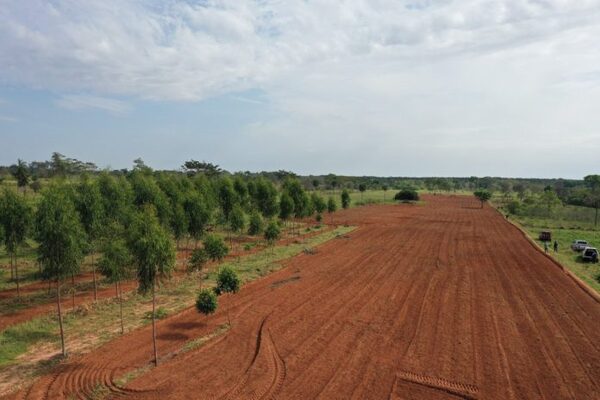 Iniciaron trabajos de mecanización de suelo para fortalecer la agricultura familiar