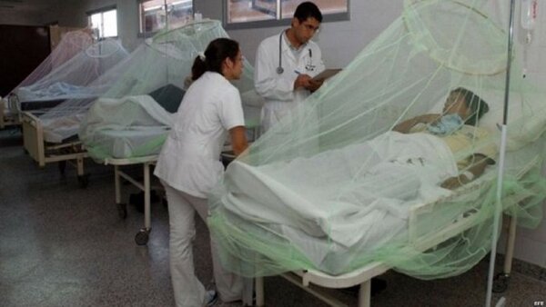Dengue fuera de control en Cuba