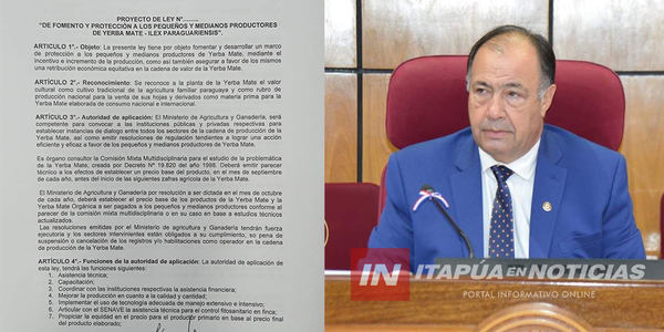 LANZAN PROYECTO DE FOMENTO Y PROTECCIÓN A PEQUEÑOS Y MEDIANOS PRODUCTORES DE YERBA MATE