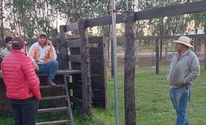 Malvivientes robaron cabo de metal del corral de la Caballería Sanjosiana - Noticiero Paraguay