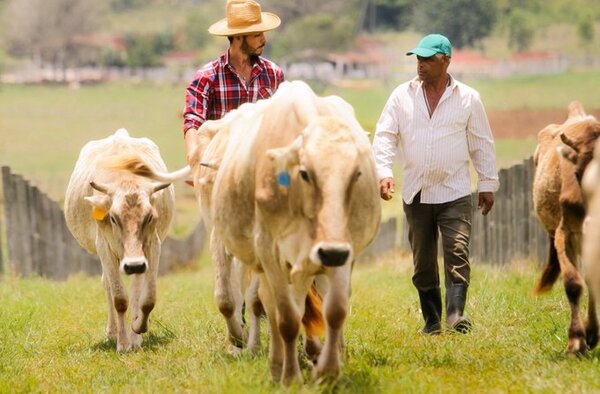 Delegación del BID verificó avances del censo agropecuario en visita a Misiones