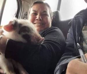 Crónica / Le robaron a su chanchito, pero tras un rastrillaje lo recuperó