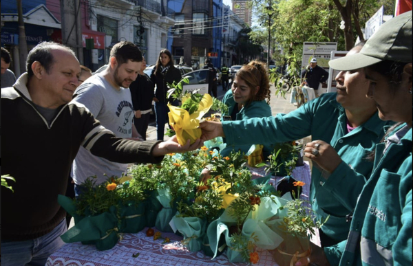 Diario HOY | Comuna asuncena realizó la tradicional entrega de plantines en la calle Palma por la primavera