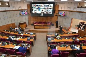 De los 45 senadores, 39 se postulan para diferentes cargos electivos - Política - ABC Color