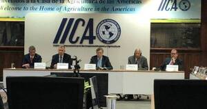 La Nación / Pretenden posicionar a la agricultura en el COP 27 como protagonista para afrontar crisis climática