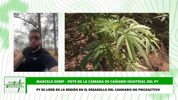 Life Green, primera tienda que ofrece productos de cannabis no psicoactivo en Paraguay - Megacadena — Últimas Noticias de Paraguay