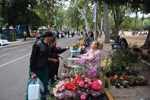 Colorida primavera en el Parque Caballero - Nacionales - ABC Color