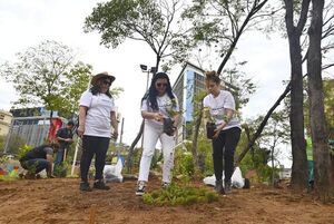 Odesur en Asunción: las plazas ya tienen flores, pero urgen refacciones - Nacionales - ABC Color