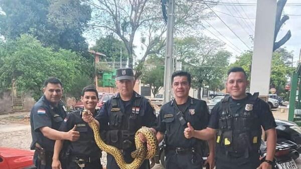 Polis rescatan a kurijú que asustó a vecinos en bañado Sur