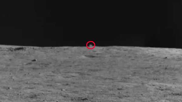 Róver Perseverance de la NASA capta el primer "gato" en Marte - San Lorenzo Hoy