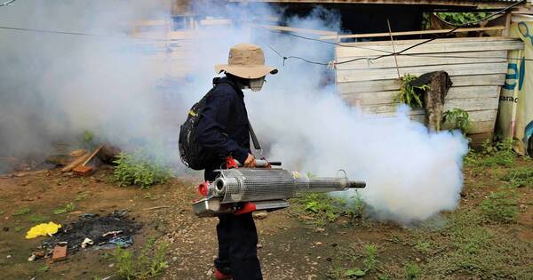 La Nación / Perú declara alerta por dengue al alcanzar 75 muertos este año