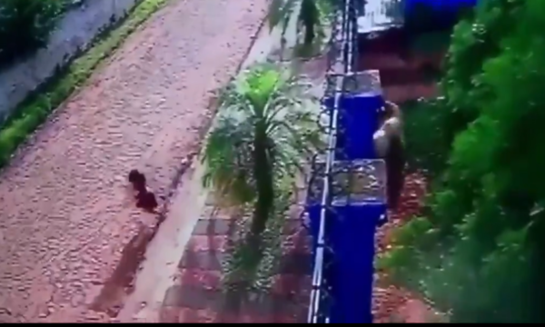 Nenito se salvó de morir gracias a un verdadero milagro