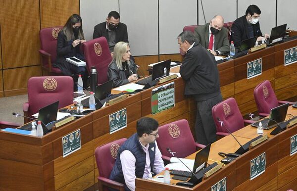 Congreso: hay 28 proyectos que aumentan gastos, salarios y crean cargos - Economía - ABC Color