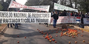 Hortigranjeros pretenden inundar hoy Asunción con tomates, en repudio al contrabando