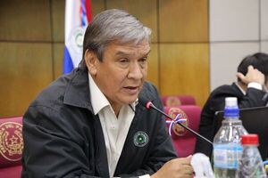 Inoperancia del Senado que no discute el proyecto sobre combustible creará mala imagen en los ODESUR, dice Pakova - Nacionales - ABC Color