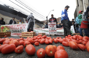 Diario HOY | Tomateros piden vender 5 mil kilos del producto para levantar las protestas