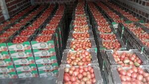 Con su producción a cuestas, tomateros llegan a Asunción