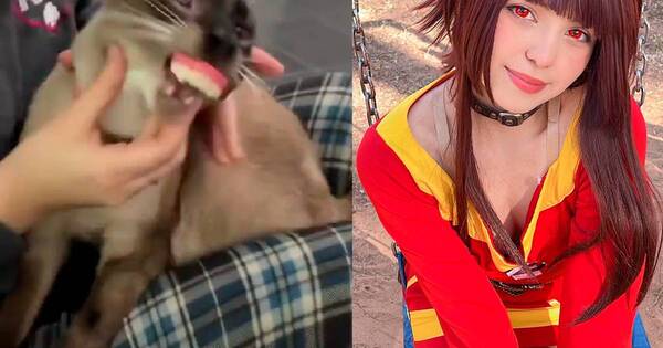 La Nación / Reprochan a influencer paraguaya Rebecca Bareiro por maltratar a su gato