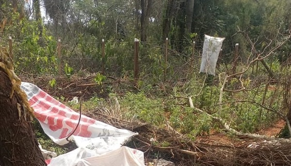 Se cayó instalando una antena y murió