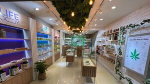 En el Paraguay se encuentra la primera tienda de cannabis de sudamerica | Locales | 5Días