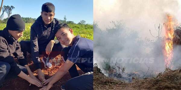 TRAS EXITOSA «PLANTATÓN ITAPÚA», LLAMAN A EVITAR QUEMAS