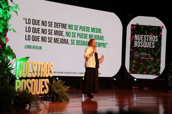 Paraguay presenta reporte de cobertura forestal y apela al diálogo para garantizar la sostenibilidad de sus bosques - .::Agencia IP::.
