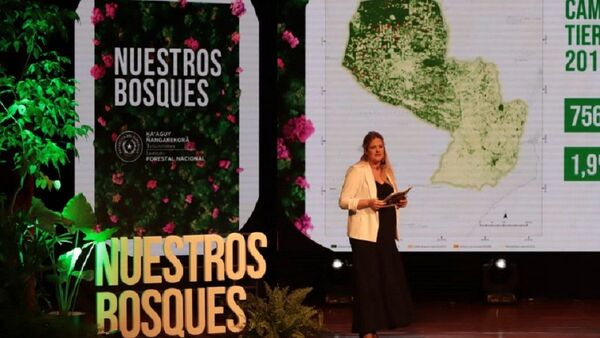 En 3 años, Paraguay perdió 756.000 hectáreas de bosques por deforestación