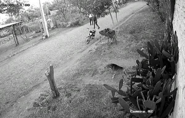 Crónica / Agarraron a motochorro "especialista" en asaltar a estudiantes