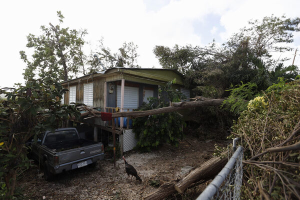 Declaran a todos los municipios de Puerto Rico zonas de desastre tras Fiona - MarketData
