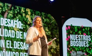 Instan a trabajar en la sostenibilidad de los bosques