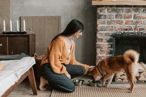 La ciencia menciona cuántas veces al día debe comer tu mascota