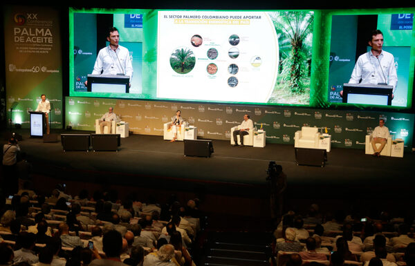 La agroindustria de la palma exhibe su transformación positiva en Colombia - MarketData
