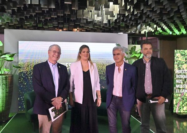 Empresarios destacan la realización de un informe oficial sobre deforestación en el Paraguay - Nacionales - ABC Color