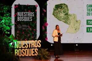 Más de 750.000 hectáreas de bosques fueron deforestadas entre los años 2017 y 2020 | 1000 Noticias