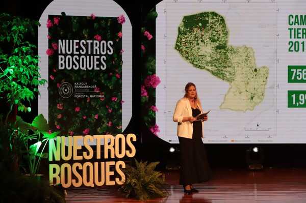 Más de 750.000 hectáreas de bosques fueron deforestadas entre los años 2017 y 2020 | 1000 Noticias