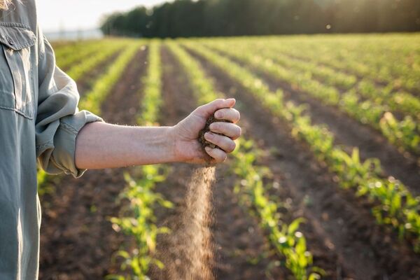 El impacto de la sequía, más allá del sector productivo - MarketData