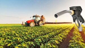 Massimiliano Corsi: “Paraguay es el mayor productor mundial de energía renovable” | Análisis Macro | 5Días