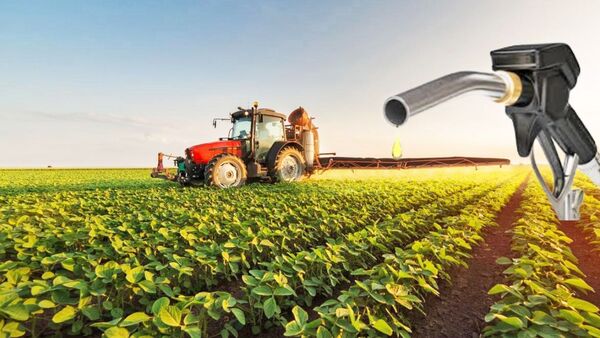 Massimiliano Corsi: “Paraguay es el mayor productor mundial de energía renovable” | Análisis Macro | 5Días