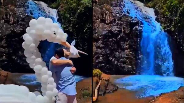 Crónica / [VIDEO] ¡Qué locura! Tiñeron una cascada de azul para dar a conocer sexo de su bebé