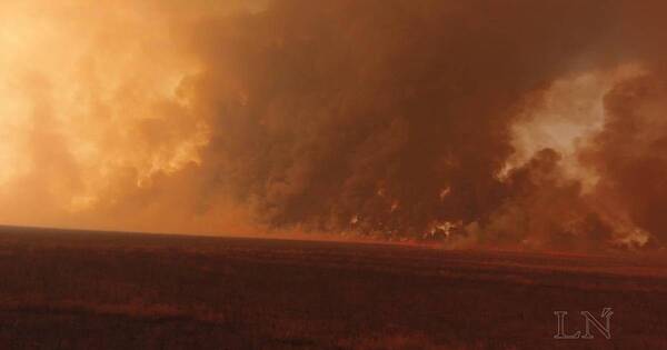 La Nación / Incendios forestales afectaron a unas 700 mil hectáreas de bosques en el Chaco