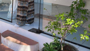 Crónica / Inesperado giro en la denuncia de robo de planta que hizo la ex-modelo