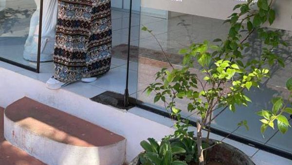 Crónica / Inesperado giro en la denuncia de robo de planta que hizo la ex-modelo